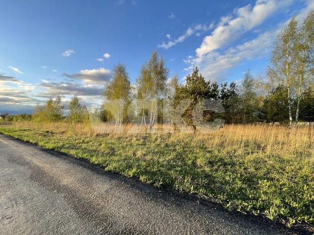 ул Черноморская Раменский городской округ фото