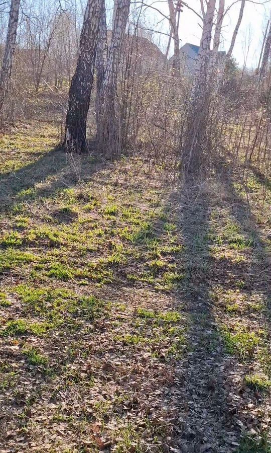 земля г Барнаул с Лебяжье п Бельмесево р-н Центральный фото 1