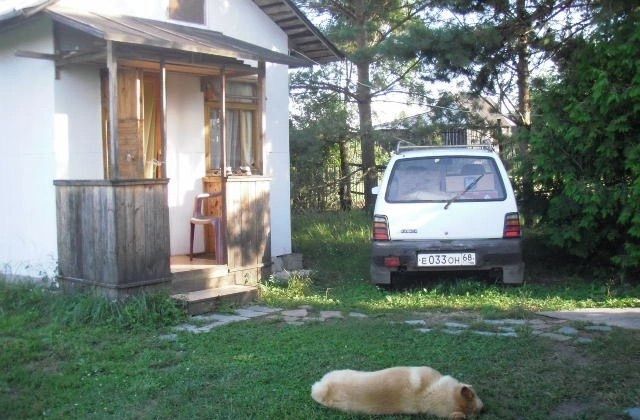 снт Рассвет 10, Котовск фото