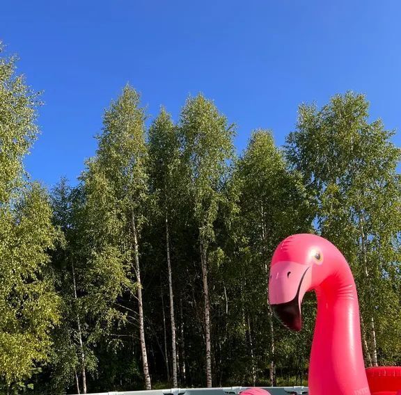 дом г Клин Рижские Дачи дп, ул. Земляничная, 3 фото 41