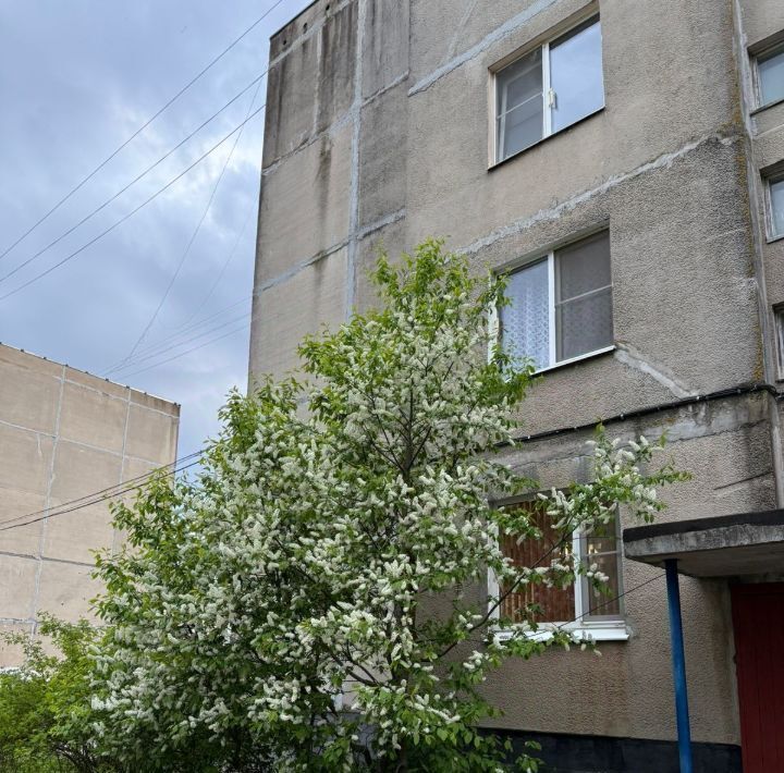 квартира р-н Чудовский г Чудово ул Титова 14к/2 городское поселение Чудово фото 3