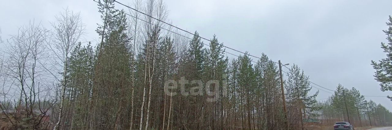 земля г Сыктывкар пгт Верхняя Максаковка 4-я линия фото 4