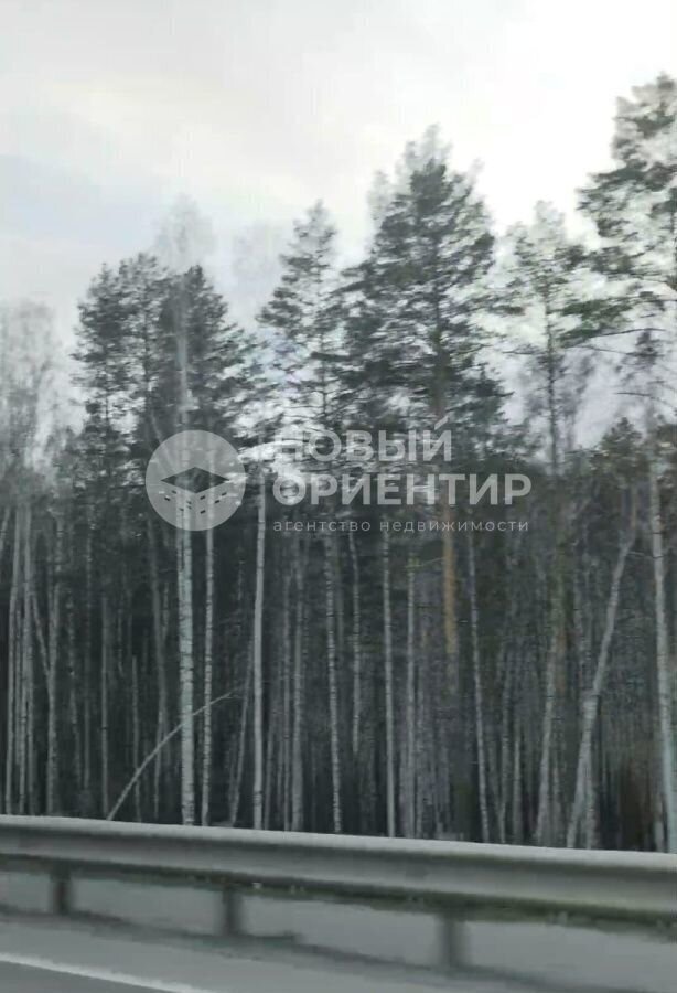 земля г Екатеринбург с Горный Щит ул Красная р-н Чкаловский Полевской тракт, муниципальное образование фото 5