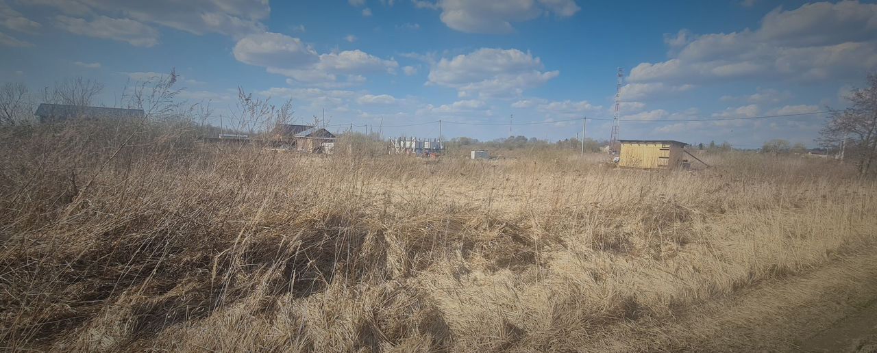 земля городской округ Воскресенск г Белоозёрский 49 км, территория Сосновый бор, г. о. Воскресенск, Новорязанское шоссе фото 2