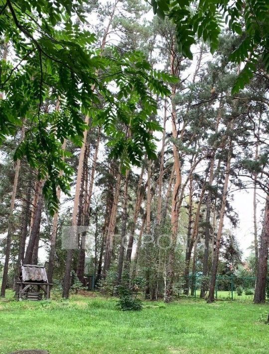 земля г Барнаул п Черницк ул Пионерская 66 р-н Центральный фото 2