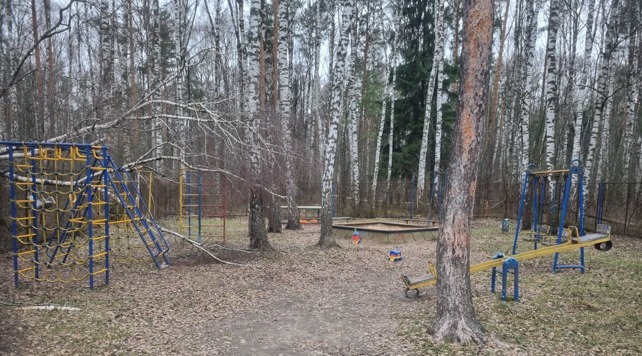 земля городской округ Богородский г Ногинск снт Ивушка фото 8