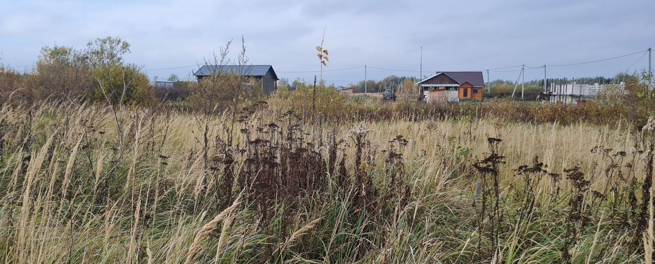 земля городской округ Воскресенск г Белоозёрский 49 км, территория Сосновый бор, г. о. Воскресенск, Новорязанское шоссе фото 6