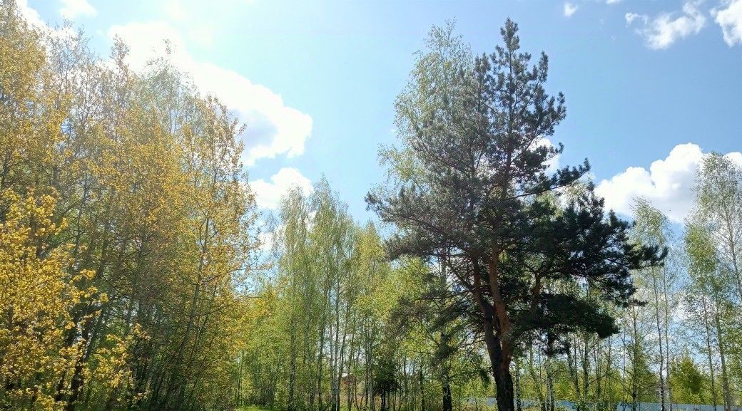 дом г Воскресенск снт Экспресс Ипподром, 47 фото 15