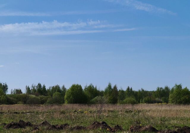 39 км, Речицы, Егорьевское шоссе фото