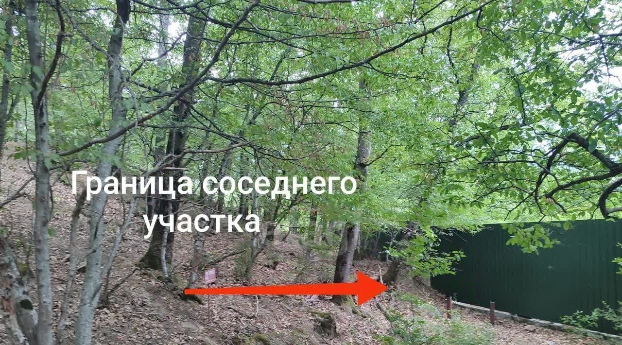 земля г Ялта пгт Виноградное фото 4