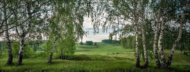 снт Семья 32 км, Новокаширское шоссе фото