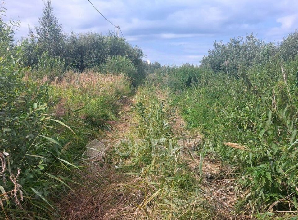 земля г Тюмень р-н Центральный снт Царево ул Тальниковая Центральный административный округ фото 3