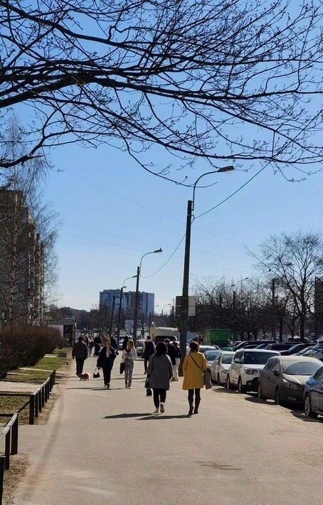 торговое помещение г Санкт-Петербург р-н Выборгский пр-кт Энгельса 115к/1 округ Сосновское фото 2