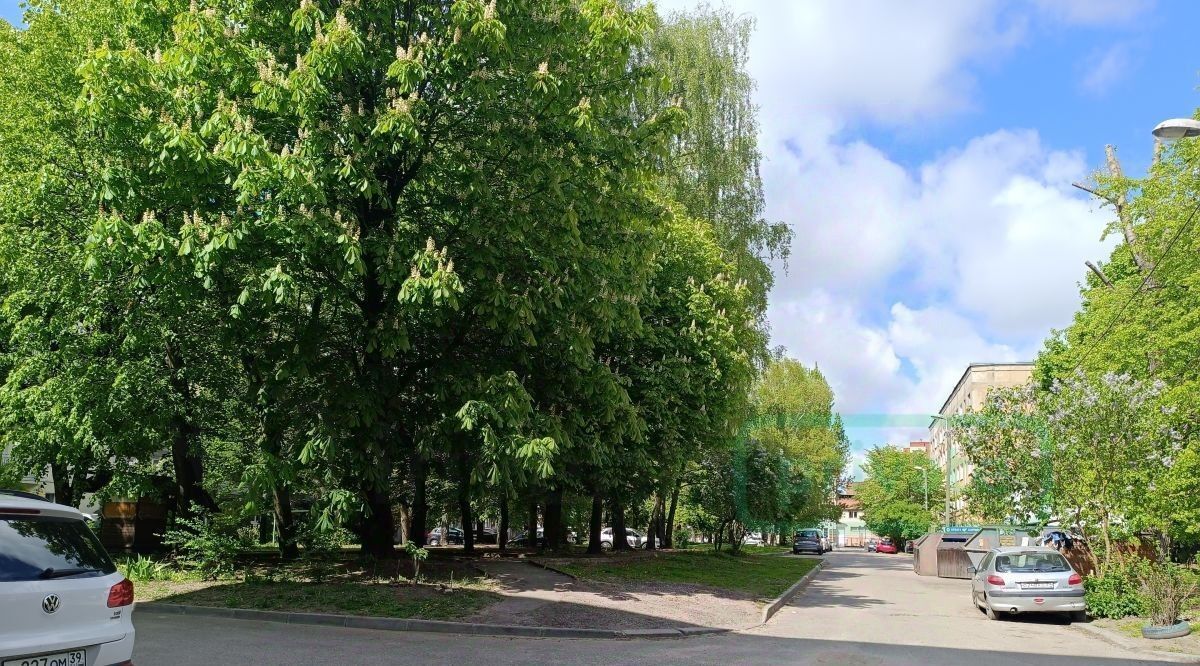 квартира г Калининград р-н Ленинградский ул Фрунзе 91 фото 17