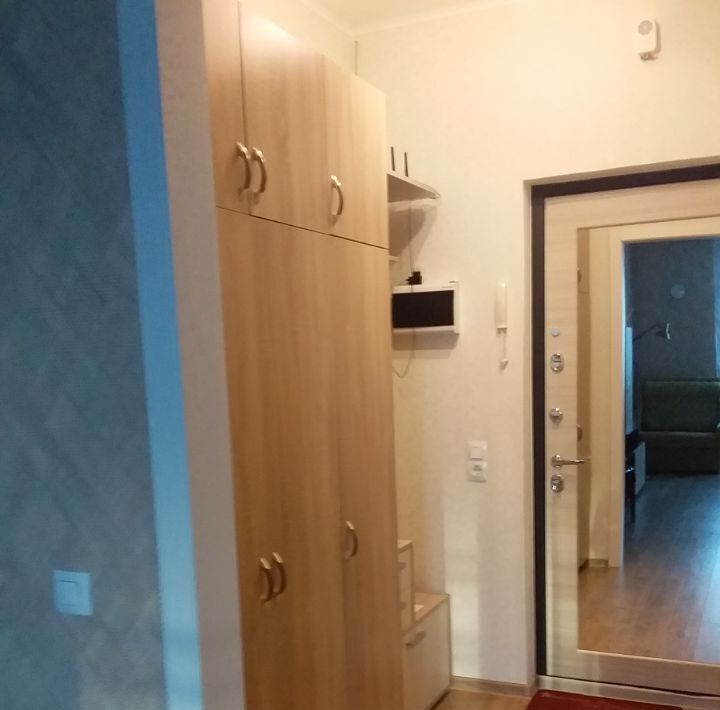квартира г Санкт-Петербург п Парголово ул Заречная 17 метро Парнас фото 11