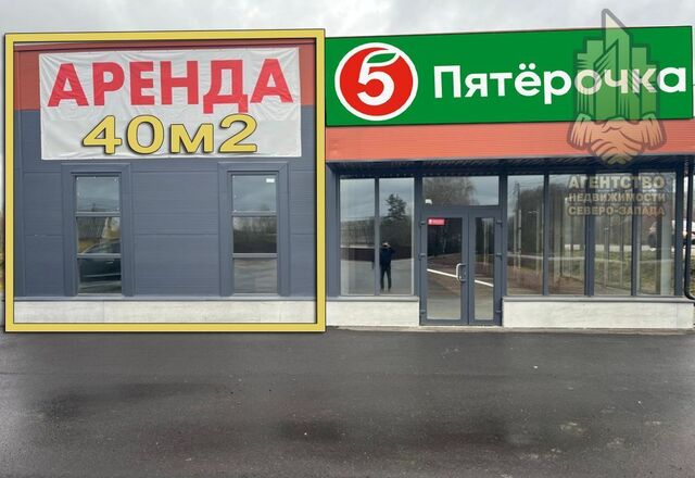д Снегиревка ул Центральная 4 Сосновское сельское поселение, Сосново фото