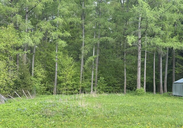 ул Тихая садоводческое некоммерческое товарищество Сад рабочих фото