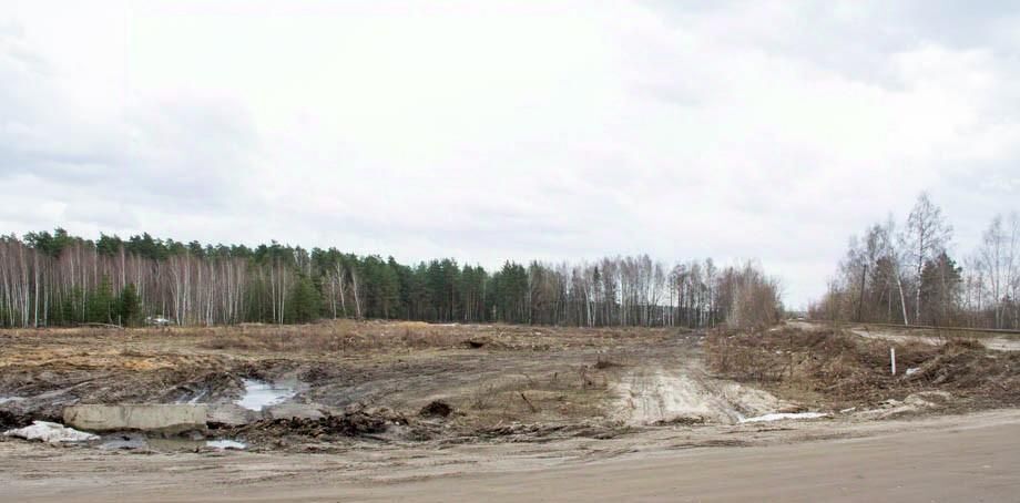 земля городской округ Богородский г Ногинск ул 6-ая Ильича фото 1