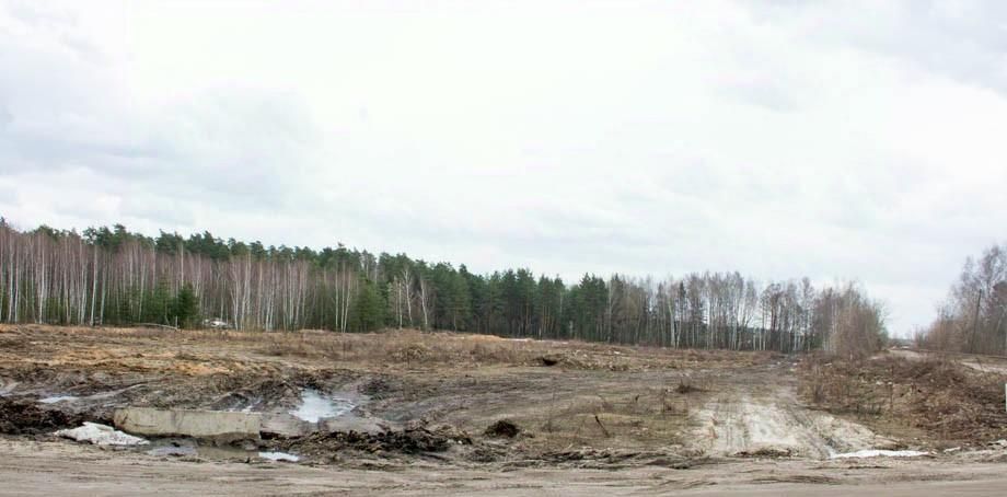 земля городской округ Богородский г Ногинск ул 6-ая Ильича фото 5