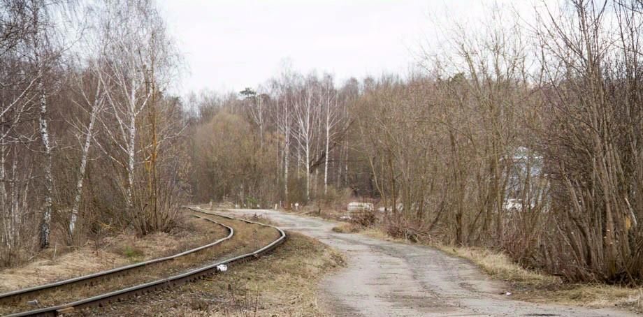 земля городской округ Богородский г Ногинск ул 6-ая Ильича фото 9