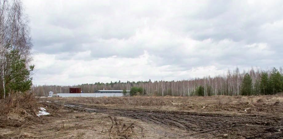 земля городской округ Богородский г Ногинск ул 6-ая Ильича фото 8