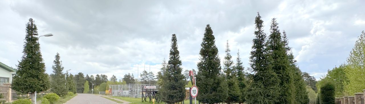 земля г Подольск п Сосновый Бор Москва, Подольск фото 12