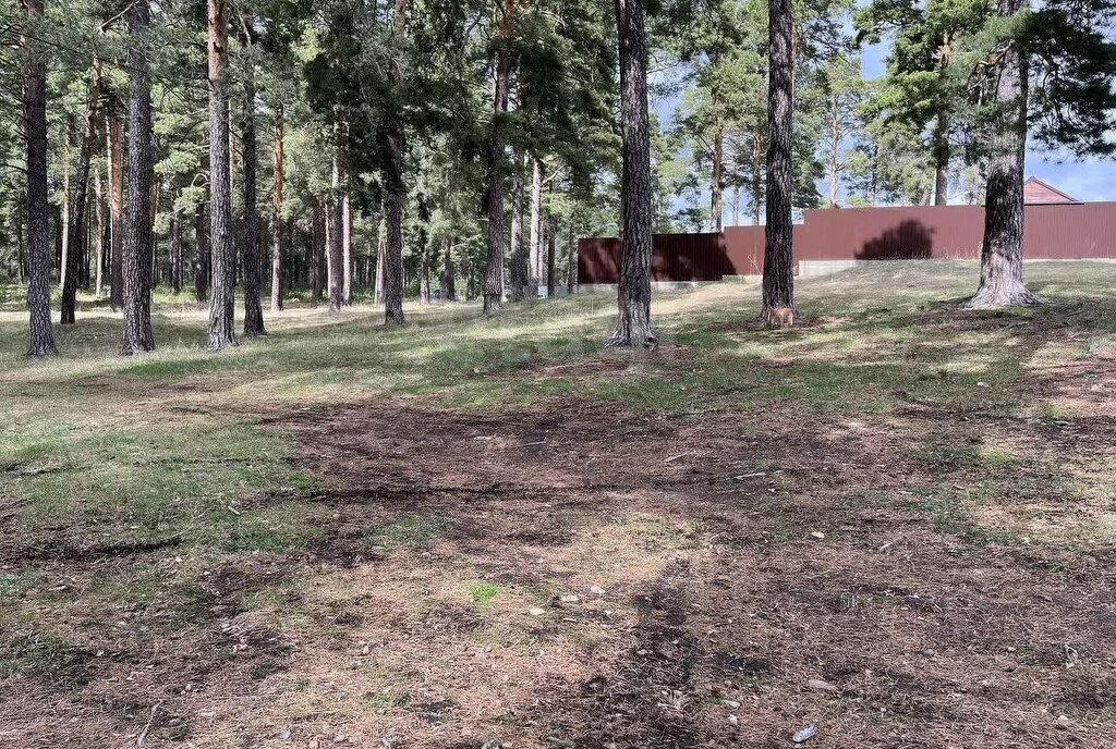 земля г Миасс п Новотагилка ул Мало-Школьная Миасский городской округ фото 7