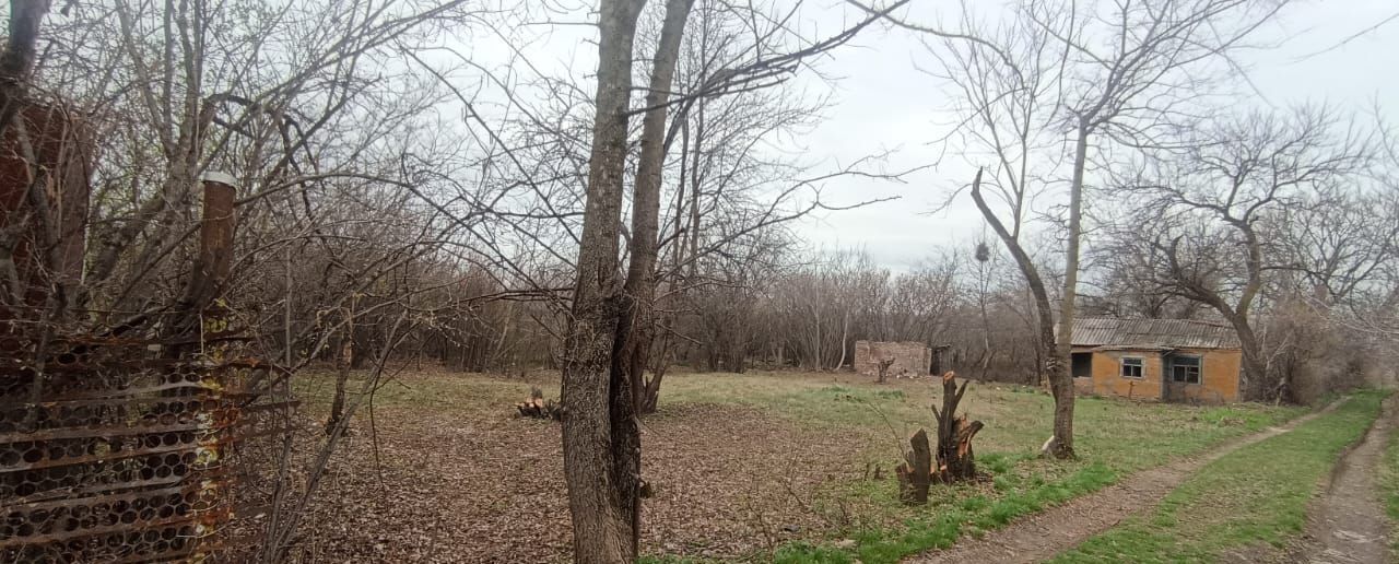 земля г Армавир снт Кубань пр-д Надежный фото 2