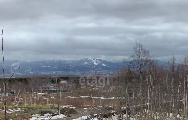 с Елочки фото
