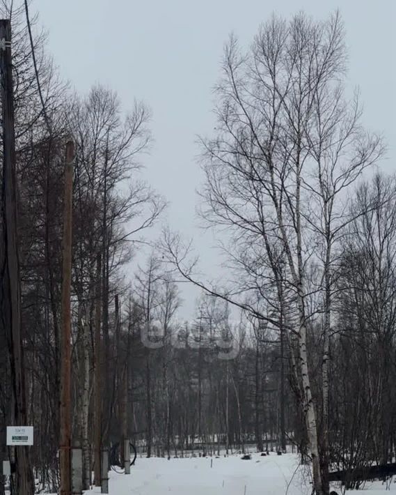 земля г Южно-Сахалинск кв-л Весточка ул Охотская Анивский городской округ фото 4