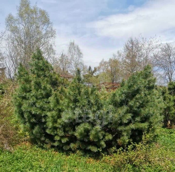 земля г Южно-Сахалинск тер Геофизик фото 4