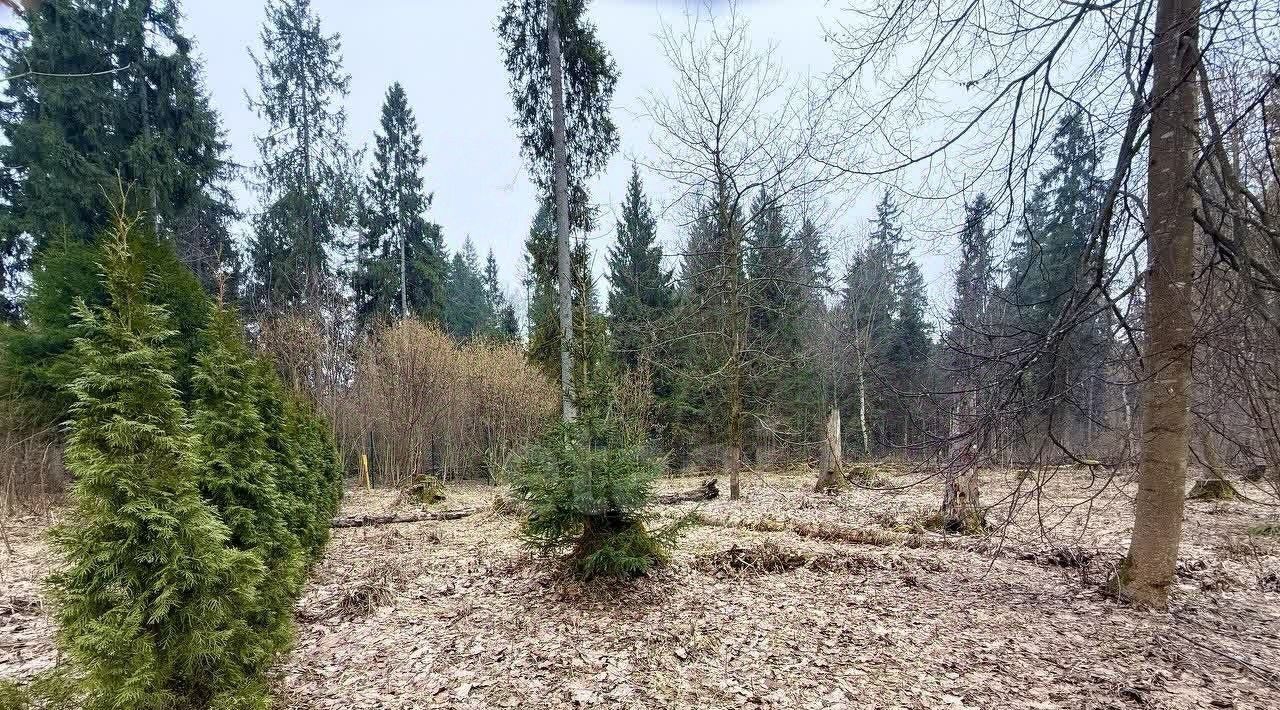 земля г Истра Лесогорье кп фото 4
