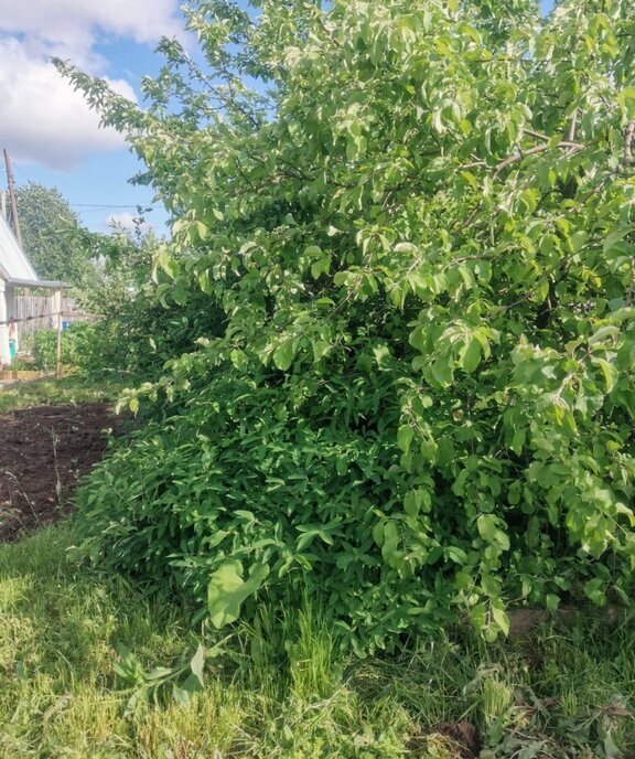 дом г Киров д Богородская пер Рабочий 3 муниципальное образование Киров фото 16