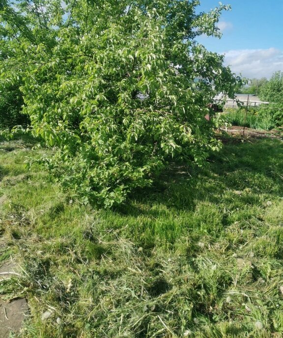 дом г Киров д Богородская пер Рабочий 3 муниципальное образование Киров фото 21