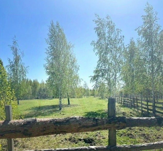 офис г Екатеринбург р-н Кировский ул Пушкина Центр фото 15