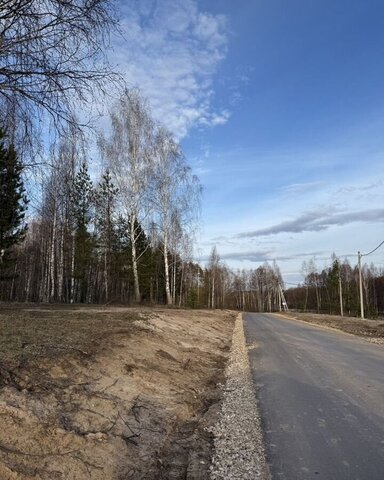 Буревестник фото
