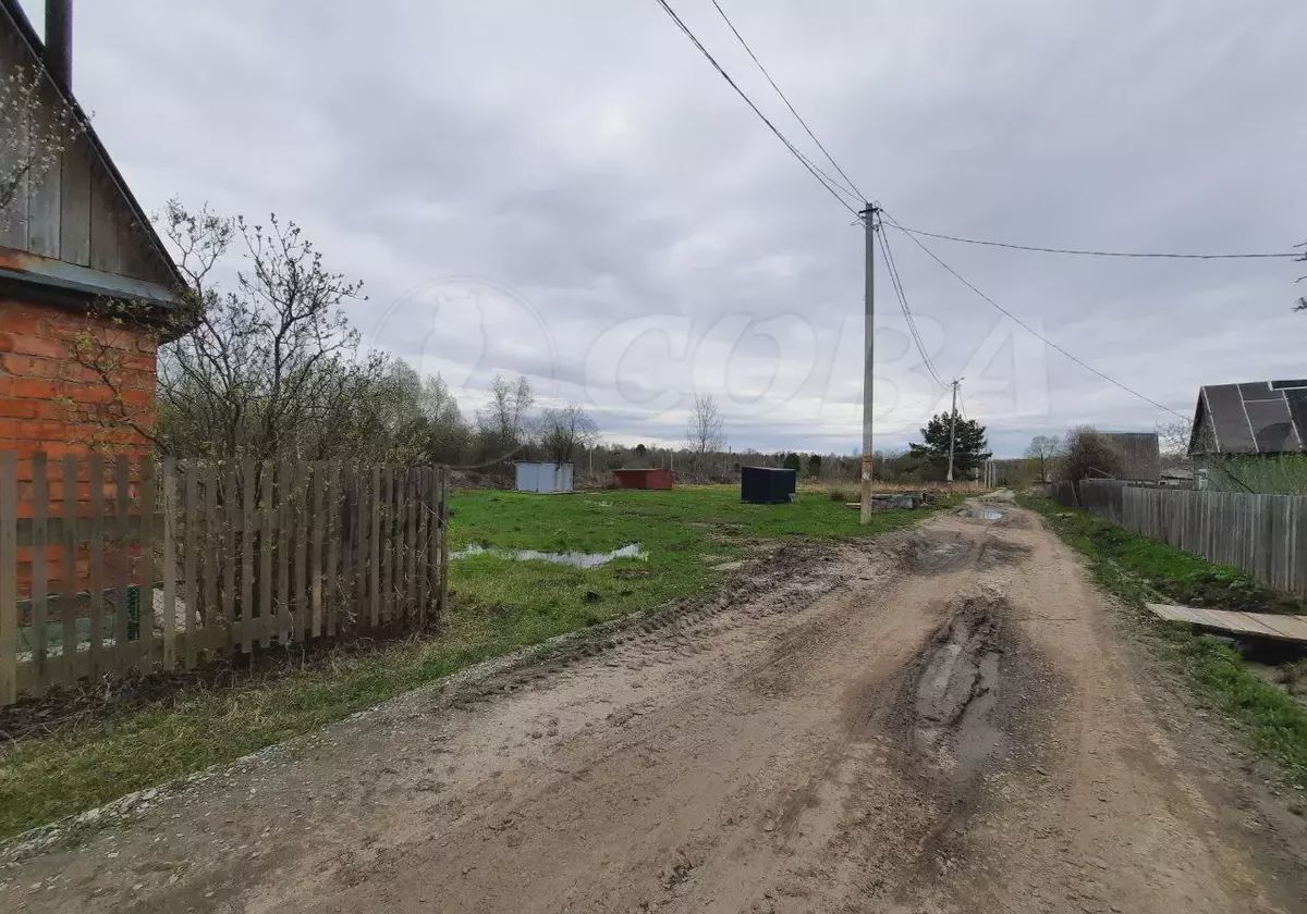 земля г Тобольск садоводческое товарищество Возрождение фото 4