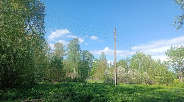 д Русский Кукмор ул Лесная Русско-Кукморское с/пос фото