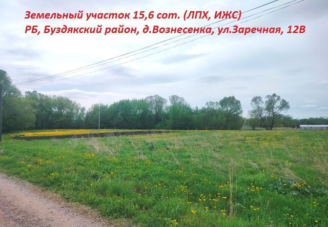 сельсовет, Гафурийский, Буздяк фото