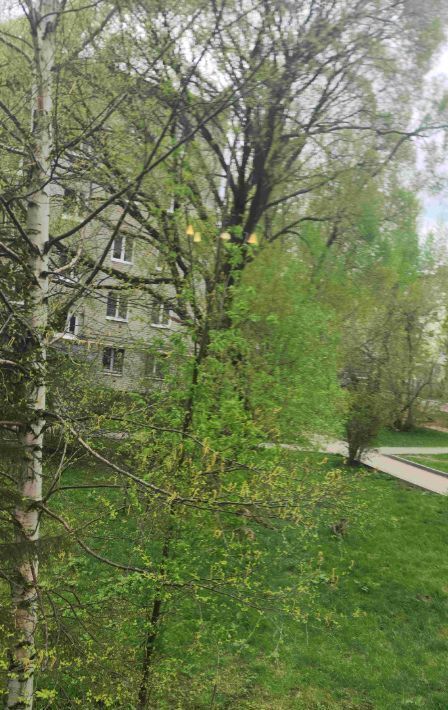 квартира г Пермь р-н Мотовилихинский ул Крупской 87б фото 5