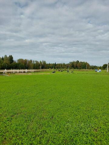 Баклановское шоссе, городской округ Клин фото