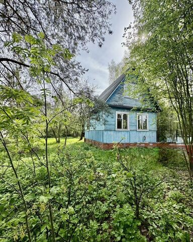 57 км, Электрогорск, СНТ Универсал, Горьковское шоссе фото