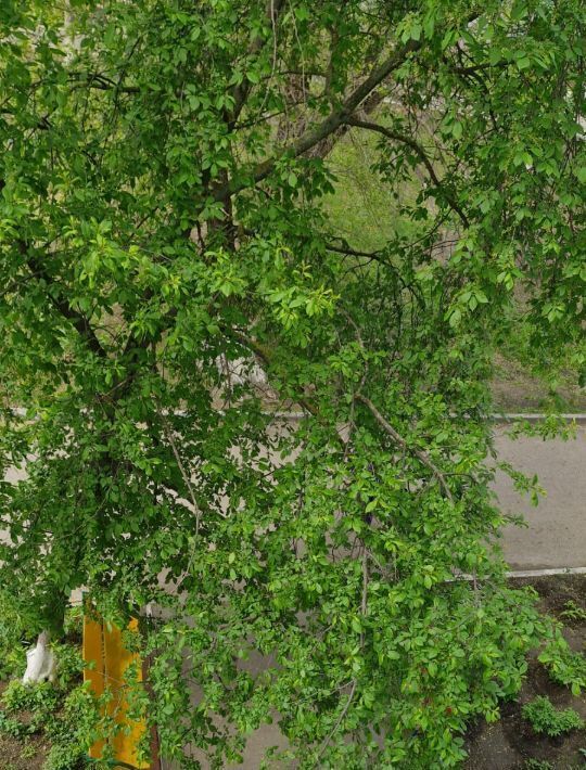 квартира г Тольятти р-н Комсомольский ул Громовой 16 фото 12