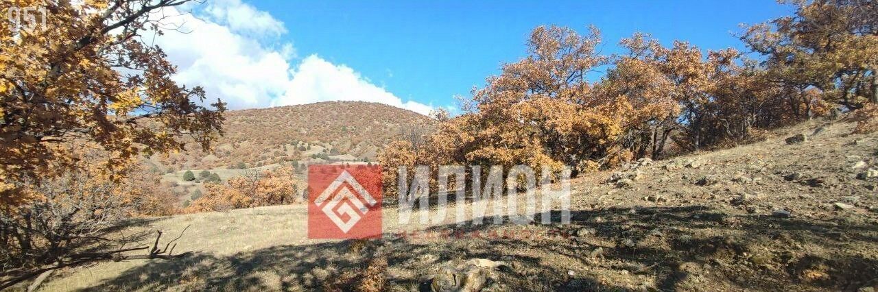 земля г Алушта с Приветное р-н курорт Канака ул Курортная фото 2