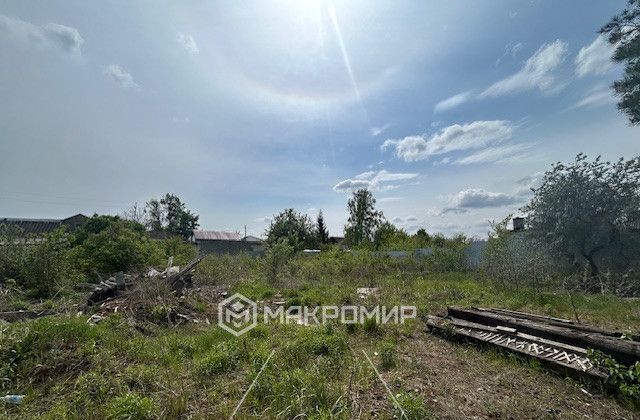 земля г Брянск р-н Володарский тер СО Мечта Виноградная ул фото 2