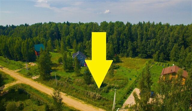 42 км, г. о. Домодедово, с. Тишково, Новокаширское шоссе фото