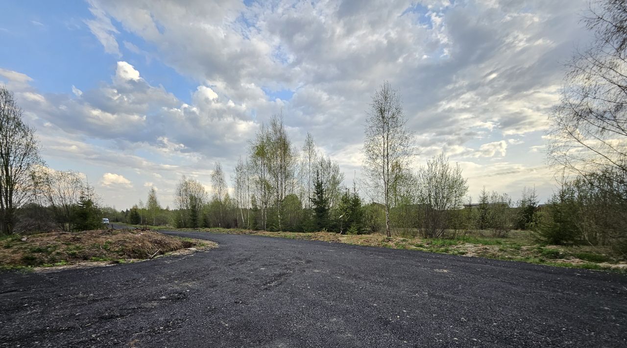 земля г Пушкино ул Писаревская 7 Центральный фото 2