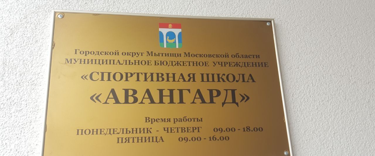 квартира г Мытищи ул Борисовка 28а Медведково фото 19
