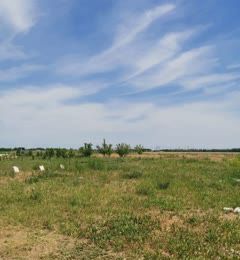 снт Светлоозерное Центральная ул, Тюменская обл., Мегион, городское поселение Излучинск фото