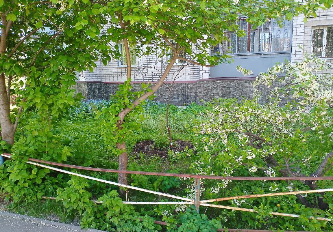 квартира г Барнаул р-н Индустриальный проезд Северный Власихинский 40 фото 19